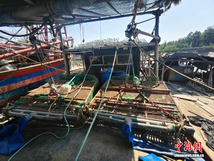 广西北海海警破获重大非法捕捞沙虫案，保护海洋生态