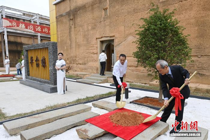 两岸林氏宗亲代表为象征亲情的树木培土