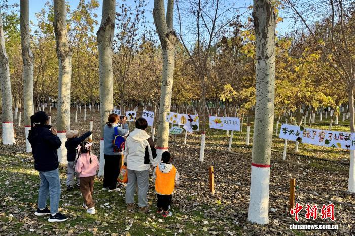 家长与孩子在凤凰公园内参加研学活动