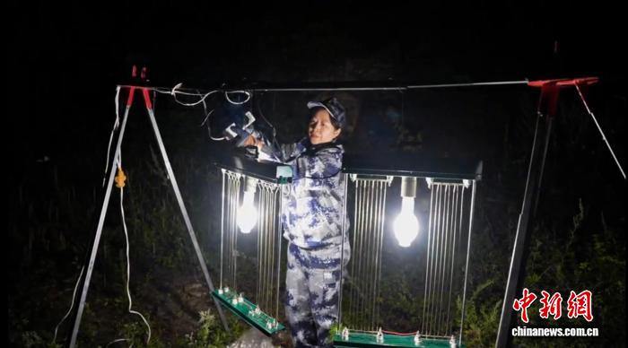 赵建新开展灯诱工作