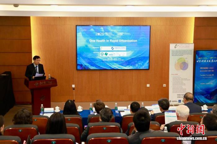 快速城市化下的同一健康：中外专家共谋应对策略