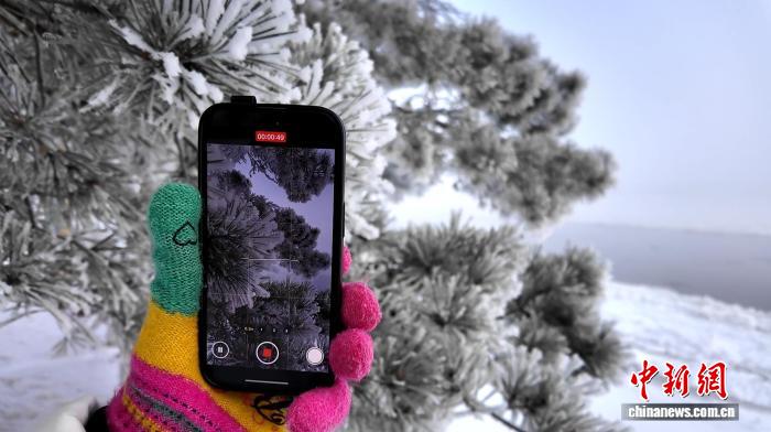 游客拍摄呼玛雾凇