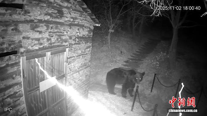 黑龙江同江景区惊现黑熊 民警紧急提醒居民注意安全