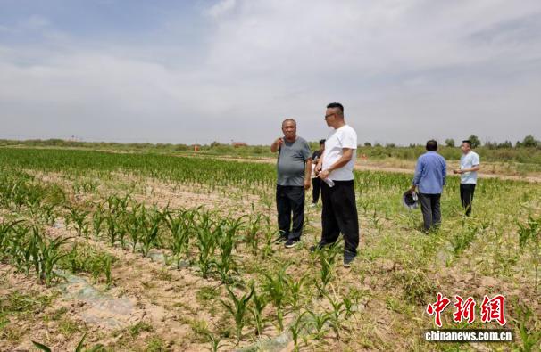 徐明查看土地纠纷现场