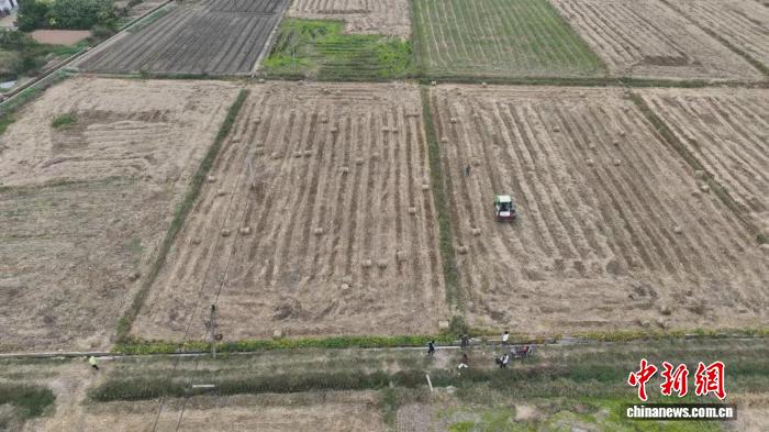 安仁县华王乡大塘村打捆机作业场景