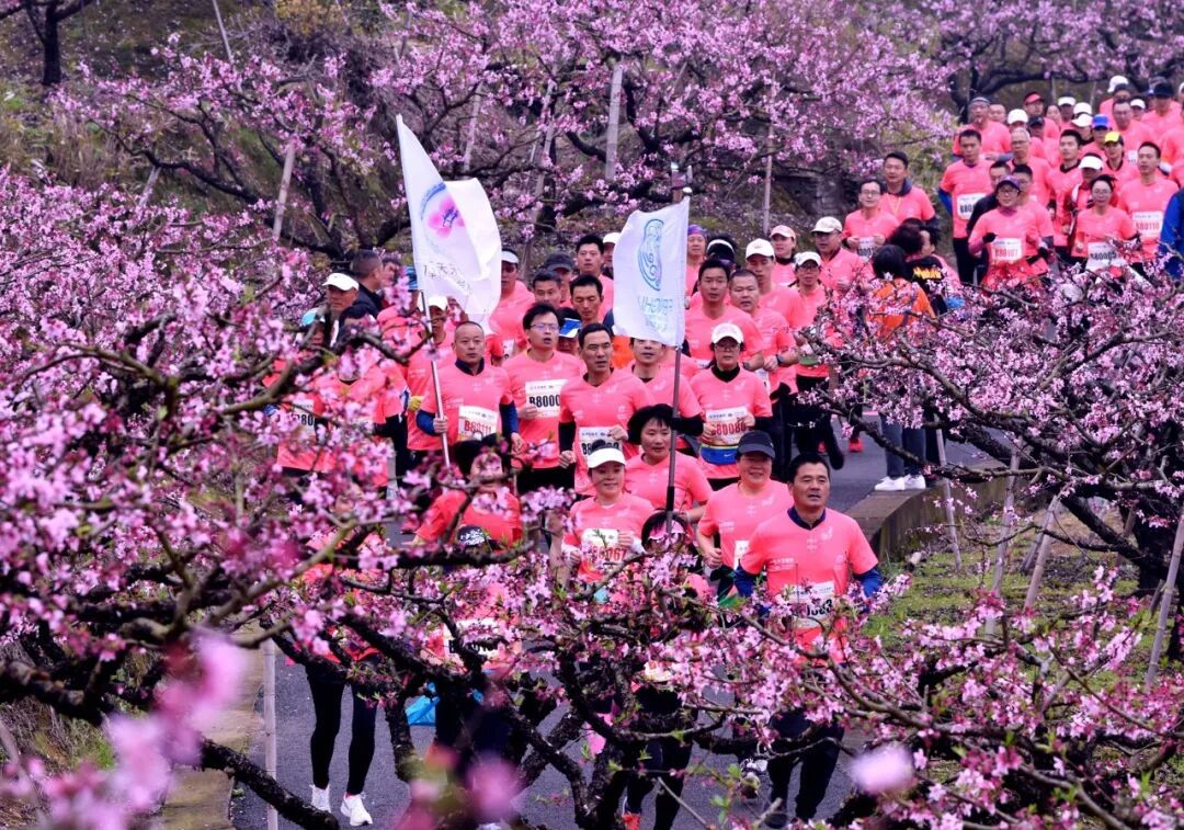 桃花马拉松