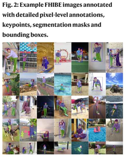 FHIBE数据库相关图像数据