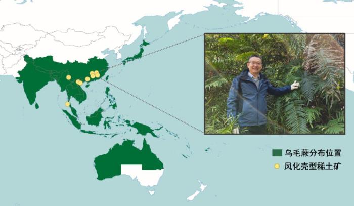 超积累植物乌毛蕨与风化壳型稀土矿的地理分布