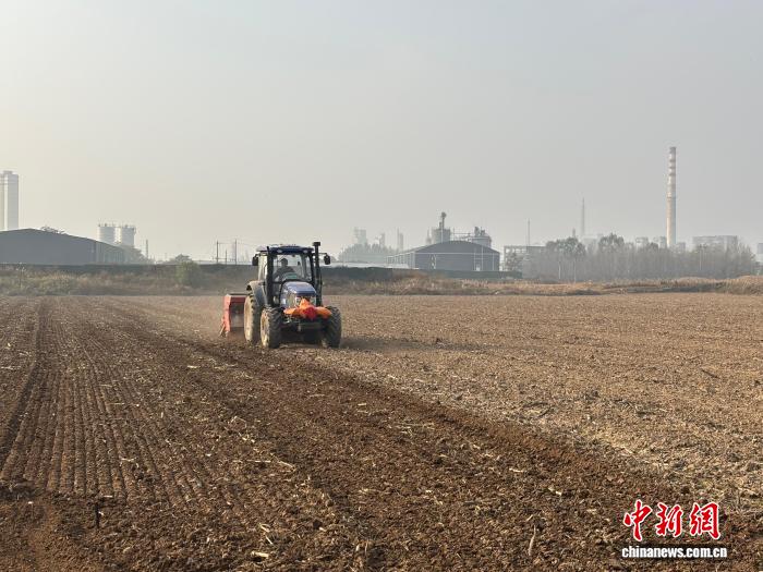 山西长治潞城区：机械农技双助力 晚播小麦迎丰收新机遇