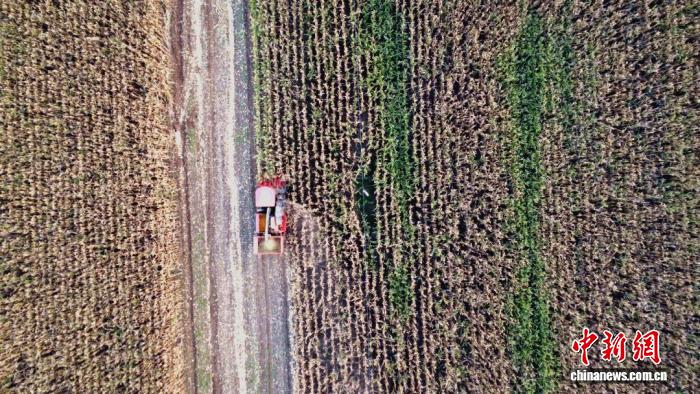 陕西秋收超九成完成，科技新农具引领田间高效作业
