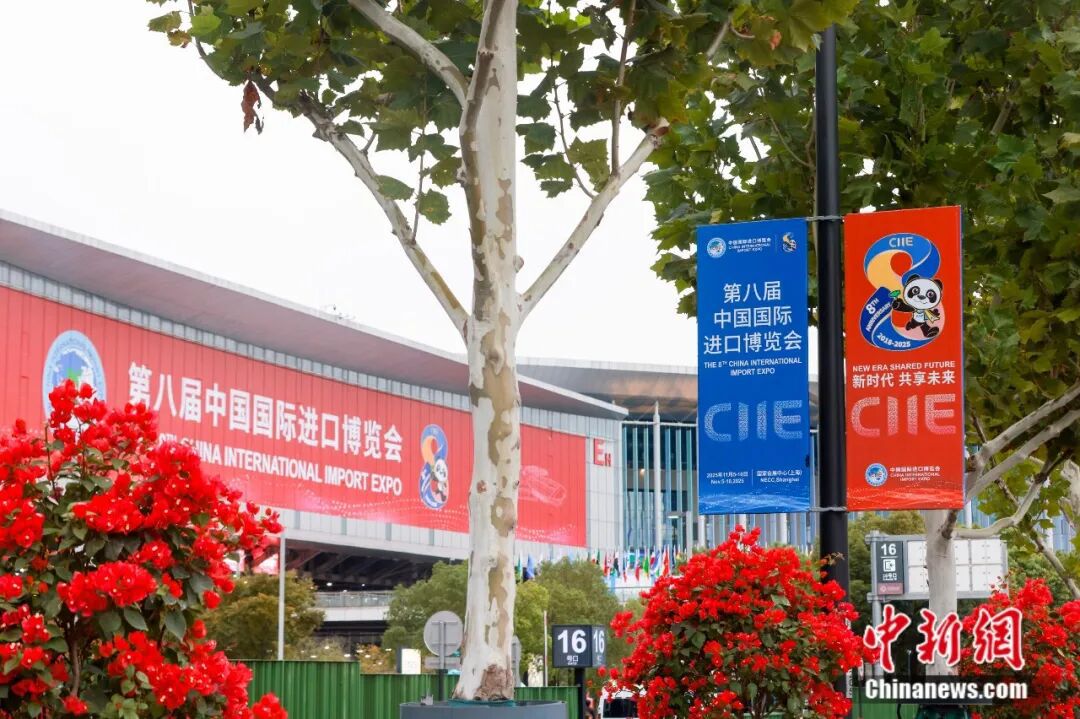 进博会观众参观场景