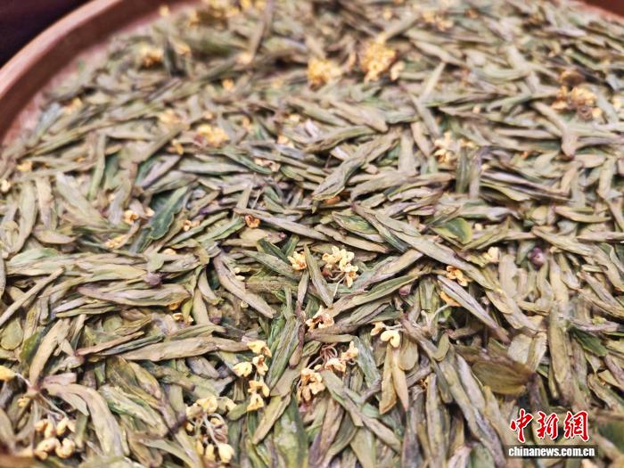 桂花龙井制作过程