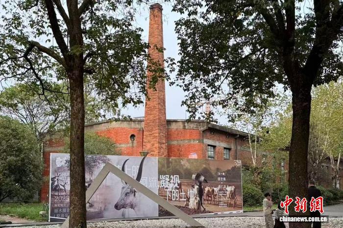 青春“显影”活力城 浙江丽水摄影节为何长盛不衰？