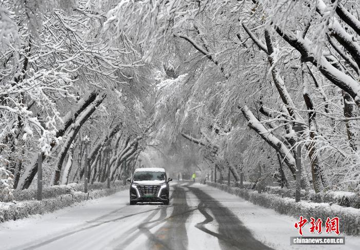 乌鲁木齐积雪实景