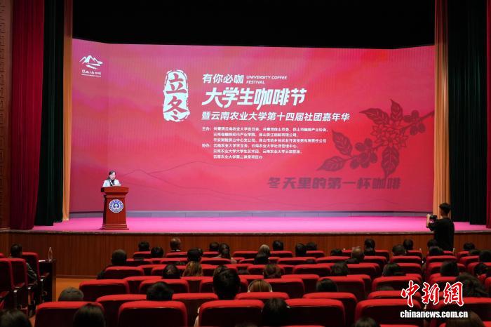 云南农业大学咖啡节活动现场