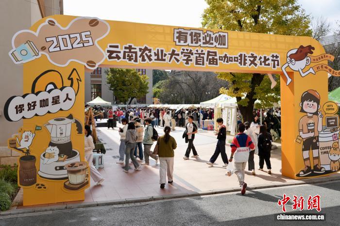 2025大学生咖啡节进高校 助力云南咖啡产学研融合