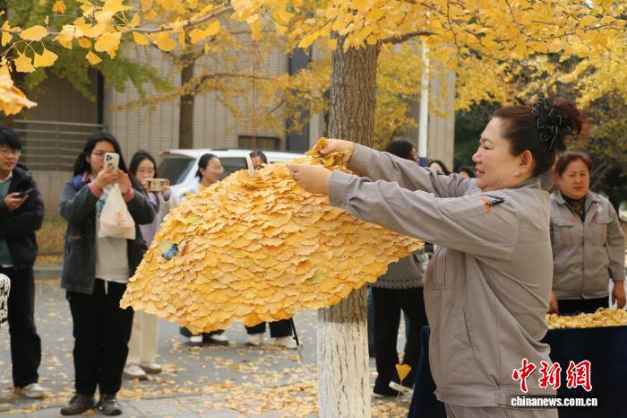 大连外国语大学保洁阿姨用银杏叶创作艺术景观