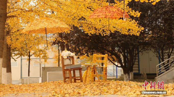 大连外国语大学保洁阿姨创意改造校园