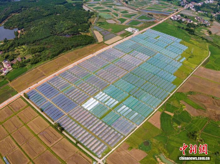 江西崇仁：村企携手共绘乡村振兴新蓝图