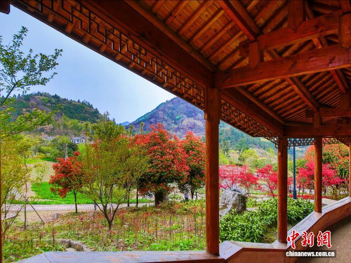 中医药非遗技艺