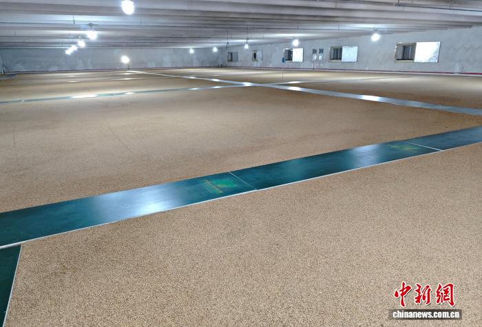 宁夏数智粮库：科技引领粮食储备现代化升级