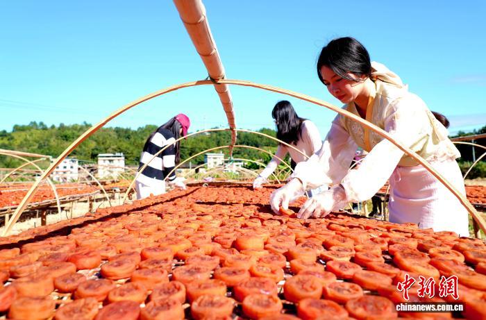 永定区陈东乡城东村柿饼晾晒场
