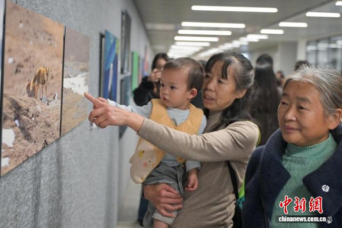 巴蜀青年摄影季展览现场