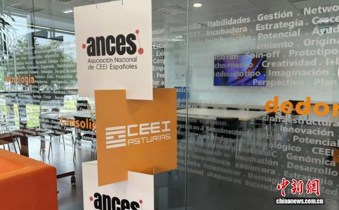 进博故事：每届进博会都是打开新机遇的“盲盒”