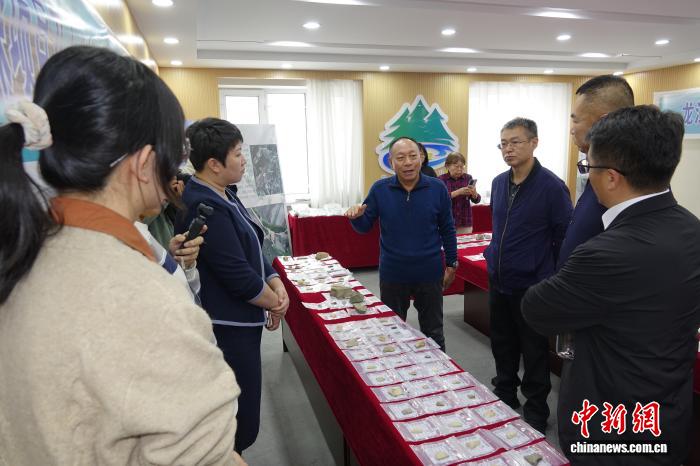 专家学者研讨大兴安岭地区发现的石制品