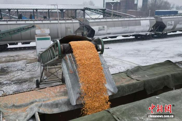 吉林散粮专列装车作业