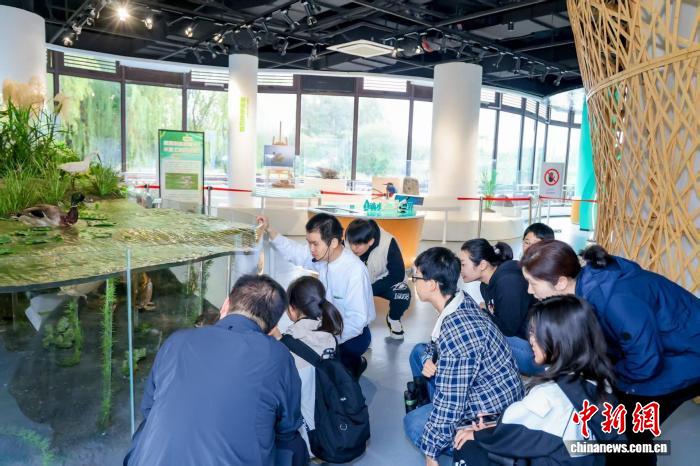青少年探索金海湿地公园：揭秘中国OECMs实践模式与经验