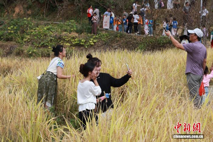 华安梯田丰收季活动现场