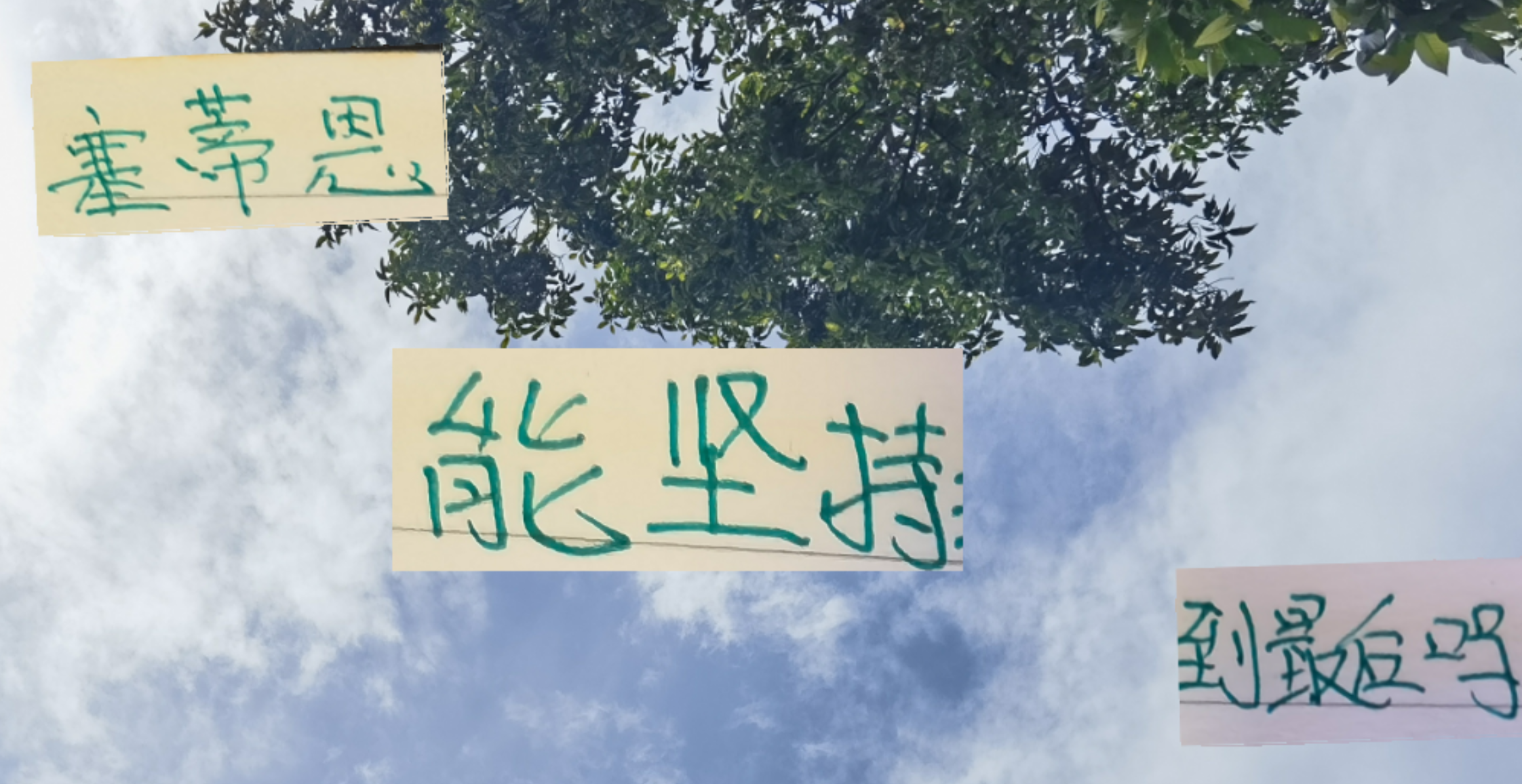 北京国安两战丢8球，塞蒂恩命运似去年苏亚雷斯？