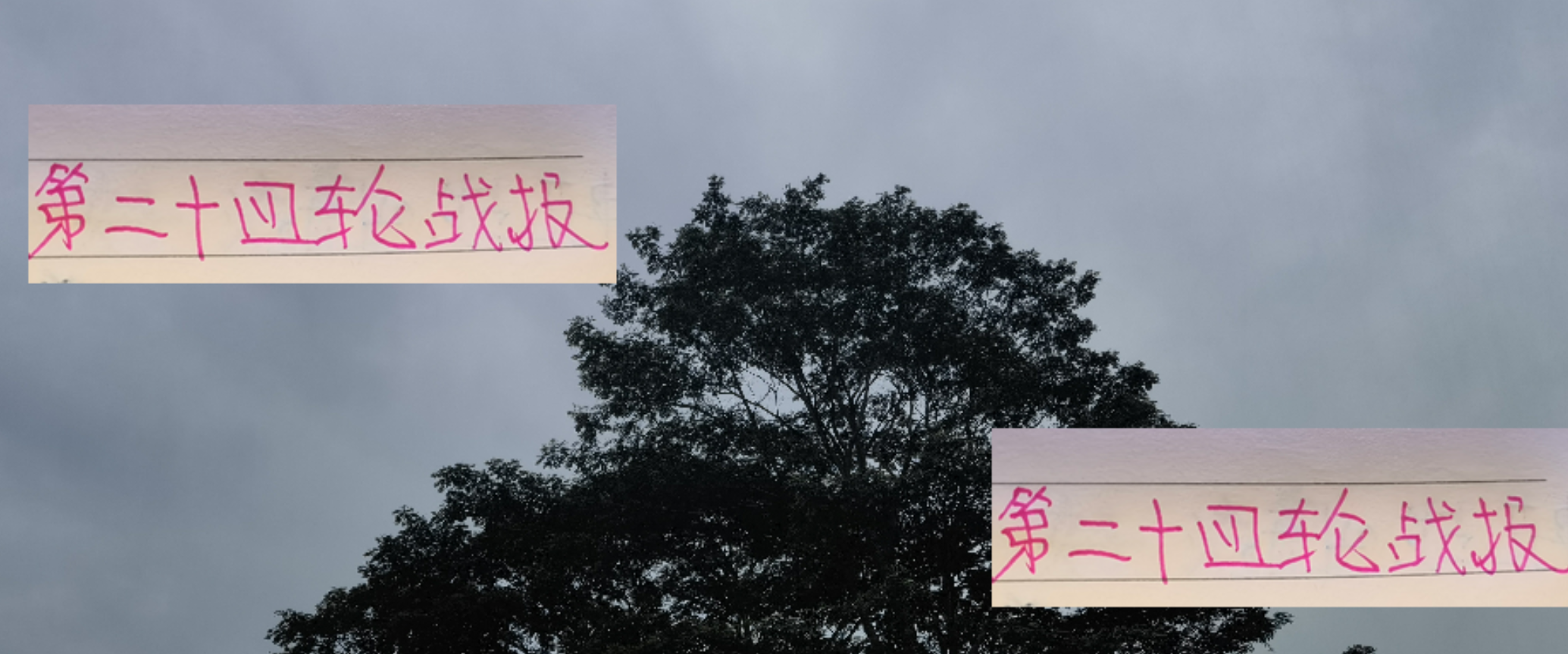 中超第24轮综述：马莱莱助力大连提前保级，海港争冠仍有戏