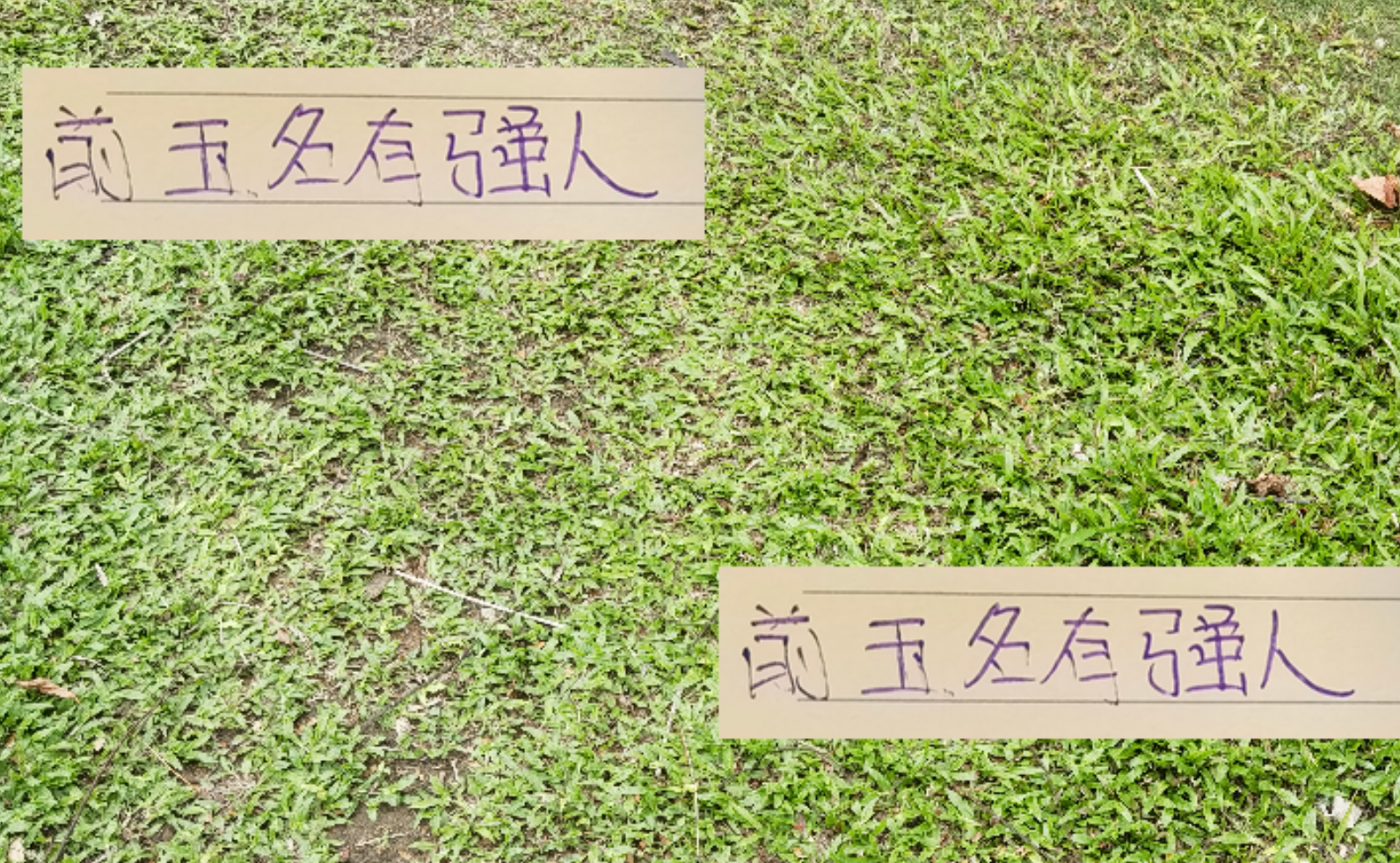 2024中超新格局：进球助攻王者齐聚海港，前5强队群星闪耀
