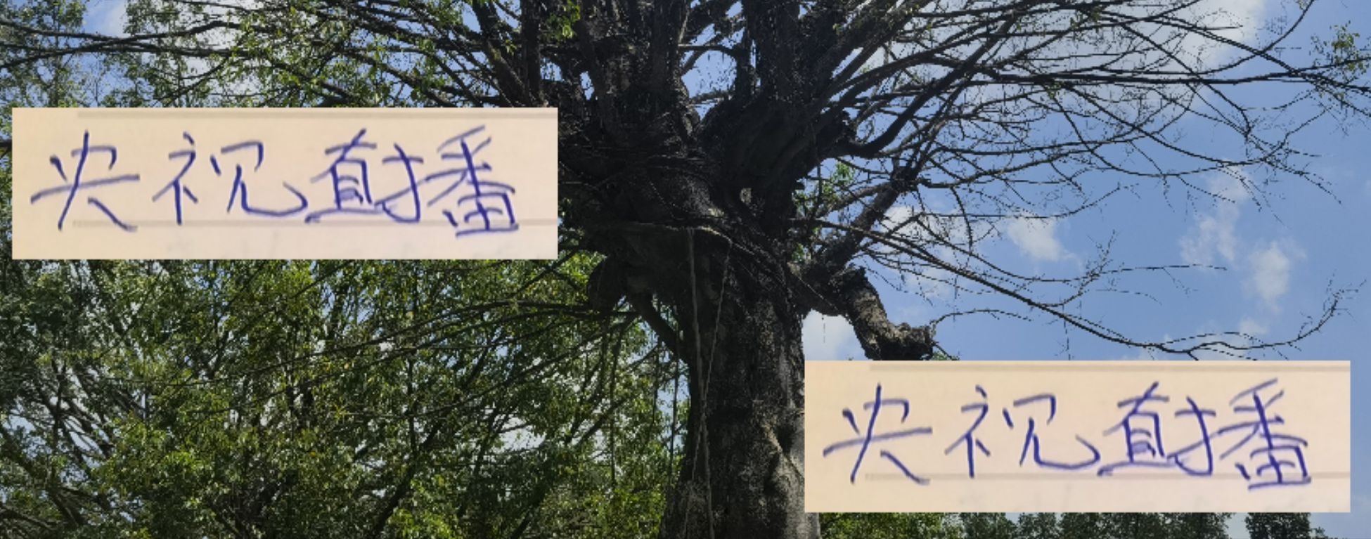中超第25轮赛程全解析：申花海港焦点战央视直播，保级德比一触即发