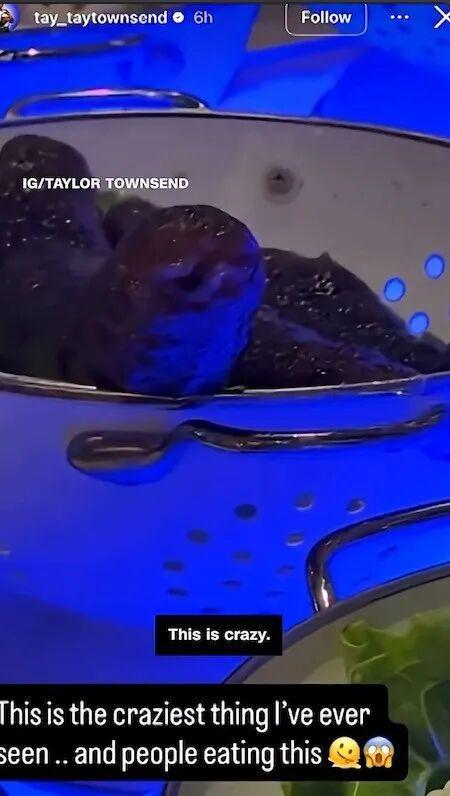 海参