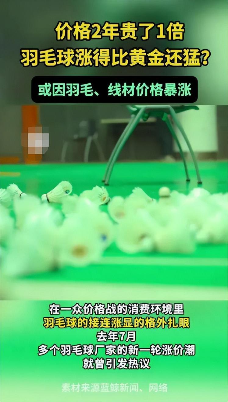 3年涨幅超黄金！羽毛球价格飙升背后，猪肉降价成关键推手？