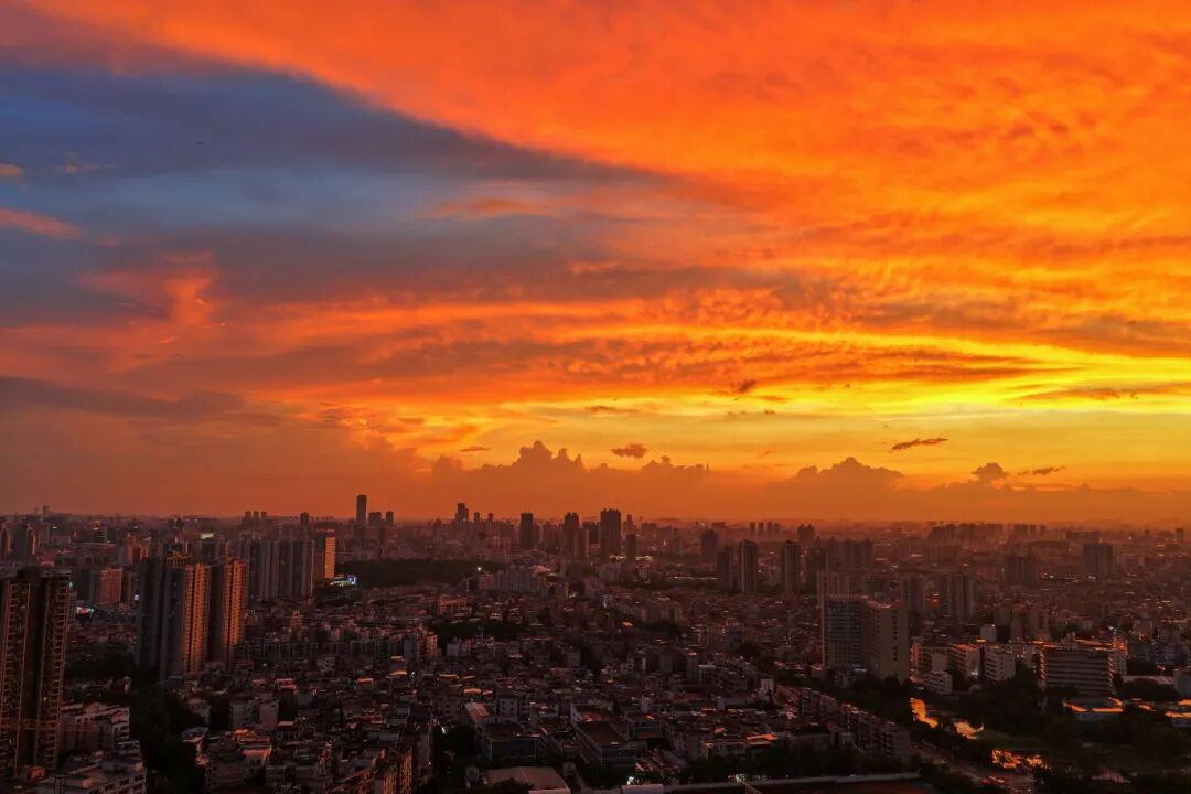 台风米娜直击东莞！广东多地停课停运，防御指南速看