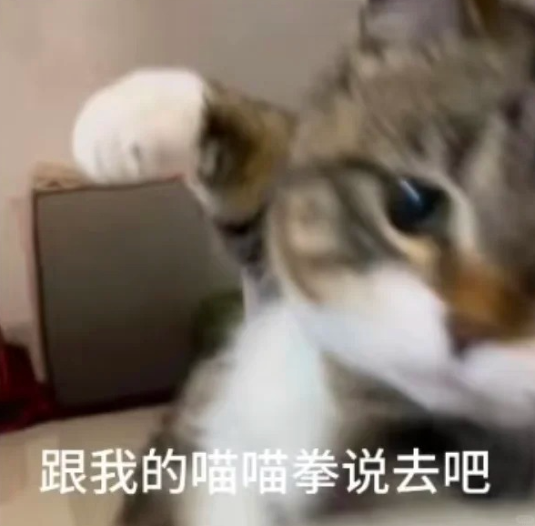 网球新手困境：从羞辱到逆袭的成长之路