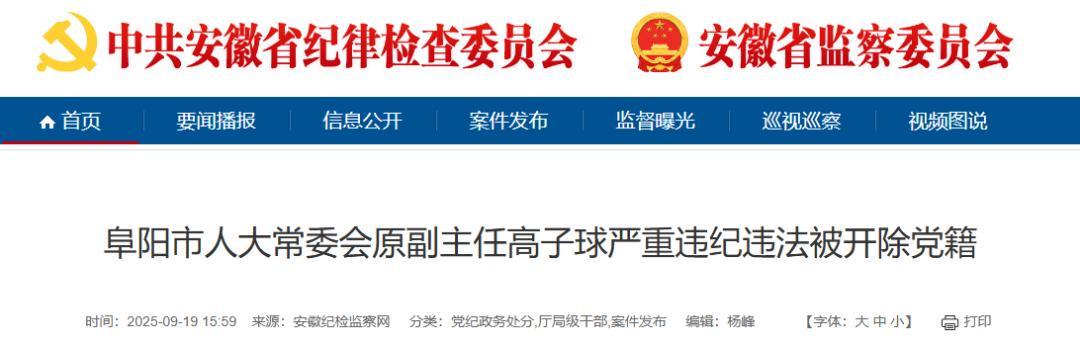 安徽省委重拳反腐：高子球被开除党籍，丁建波、杨利文被查