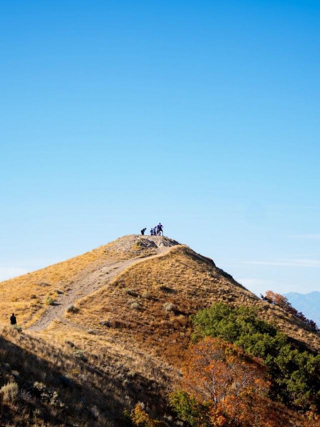 爵士队登山合影：年轻球员用别样方式凝聚团队力量