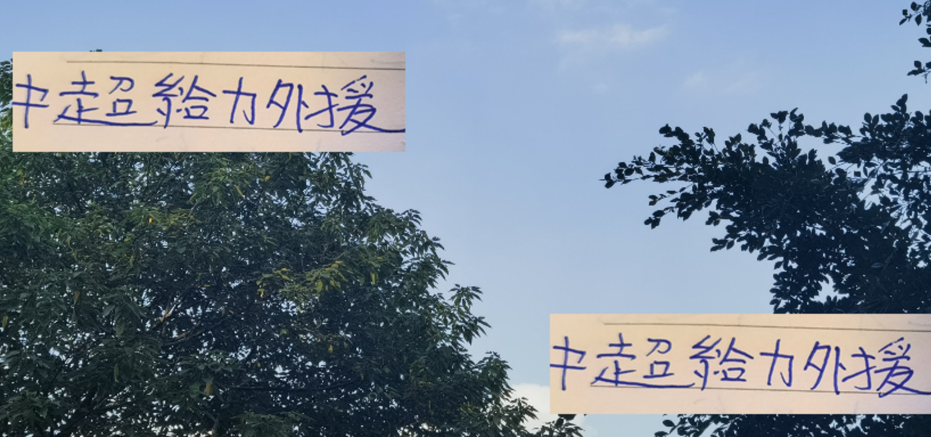 中超外援数据解析：山东射手王VS河南助攻王