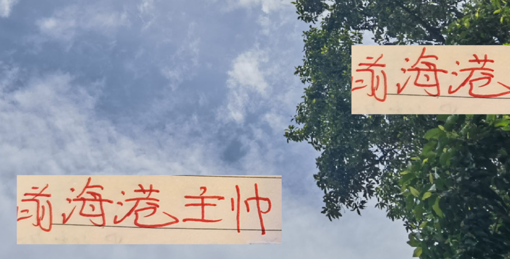 国足主帅竞聘热潮：哈维尔VS卡纳瓦罗，谁将执掌帅印？