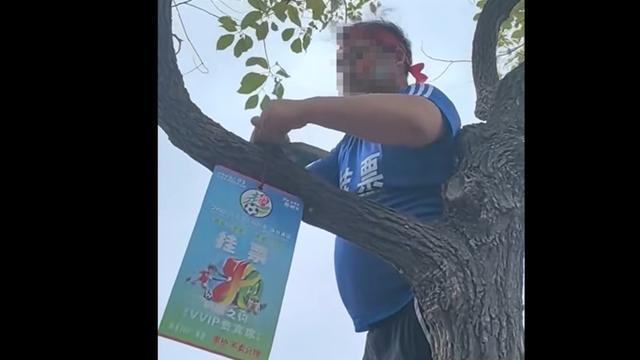 2025湘超联赛永州主场“树上挂票”引热议，足协回应安全措施