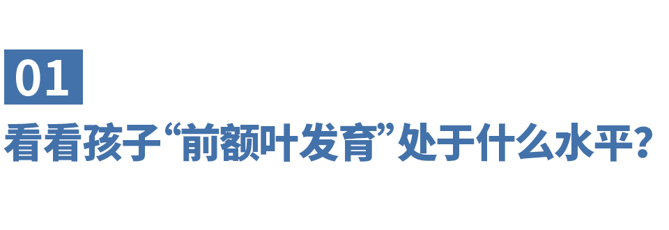 让孩子成为学霸的关键：前额叶发育的重要性与培养方法