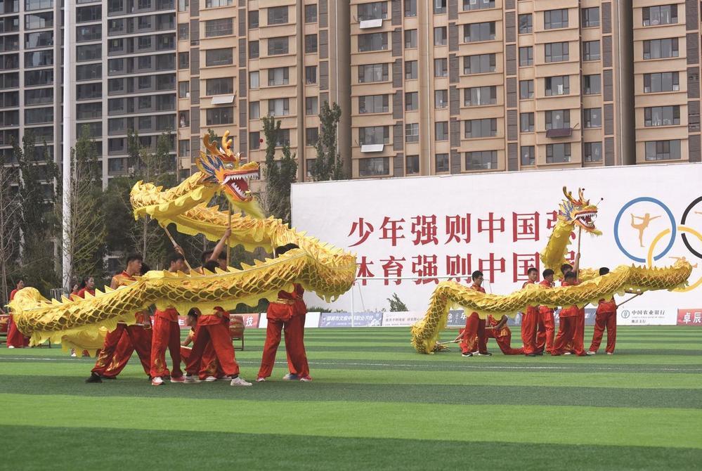 舞龙表演