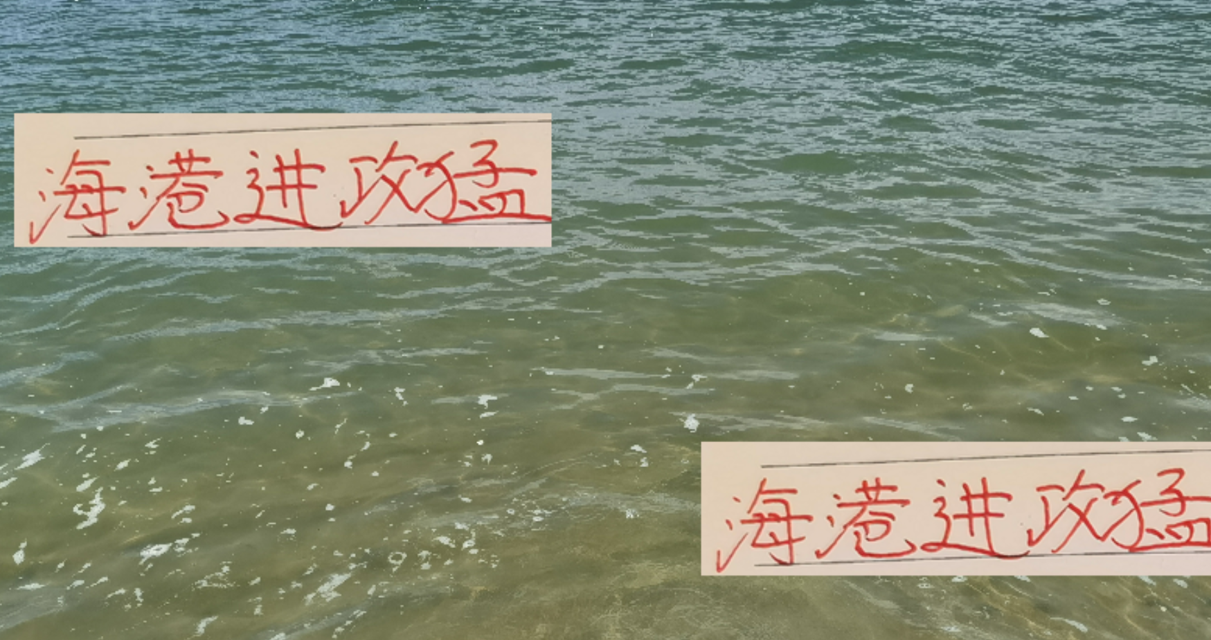 中超第25轮：海港进攻犀利，莱昂纳多成武磊接班人闪耀赛场
