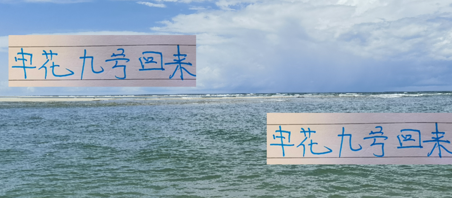 申花9号路易斯归队！最快10月底复出，状态成疑