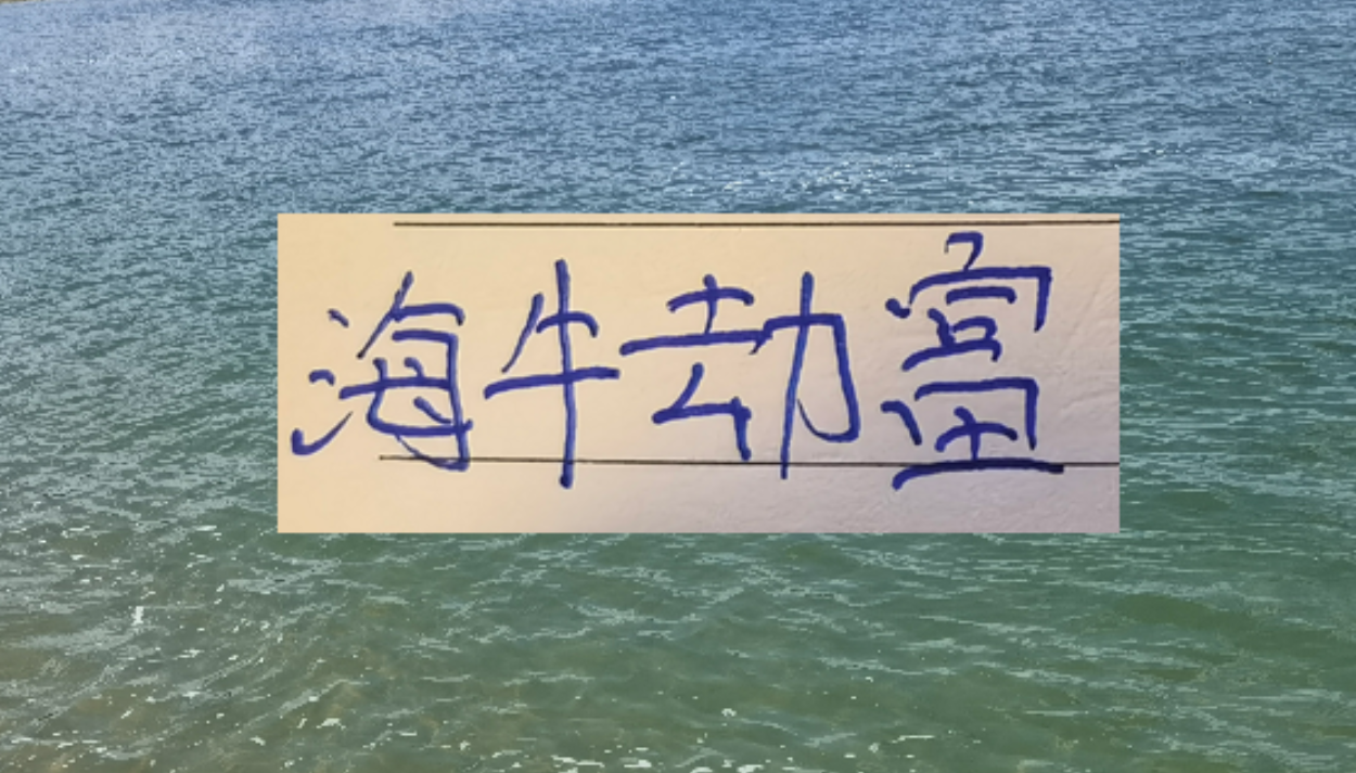 青岛海牛成中超劫富侠！山东、国安、蓉城均被其逼平
